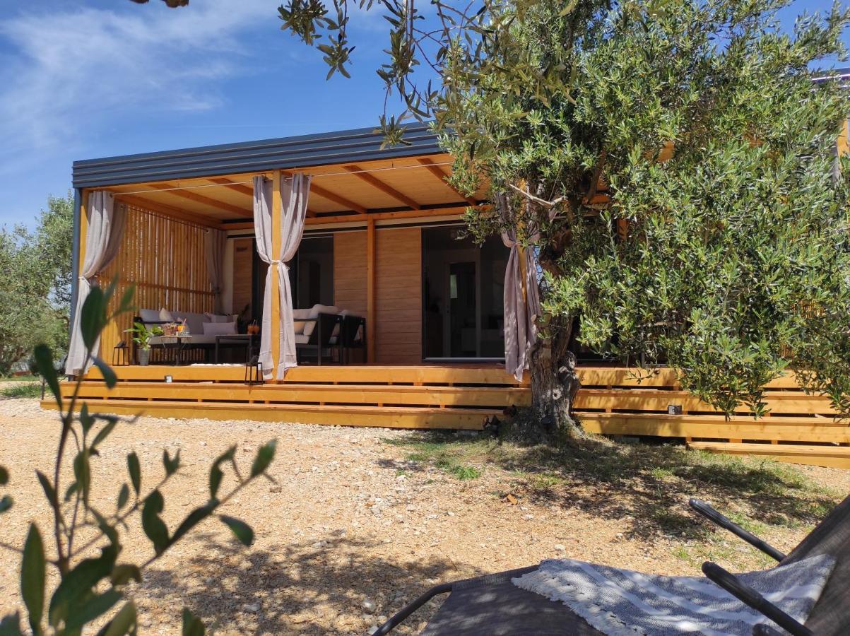 Zen Zone Premium Mobile Home دراغ المظهر الخارجي الصورة