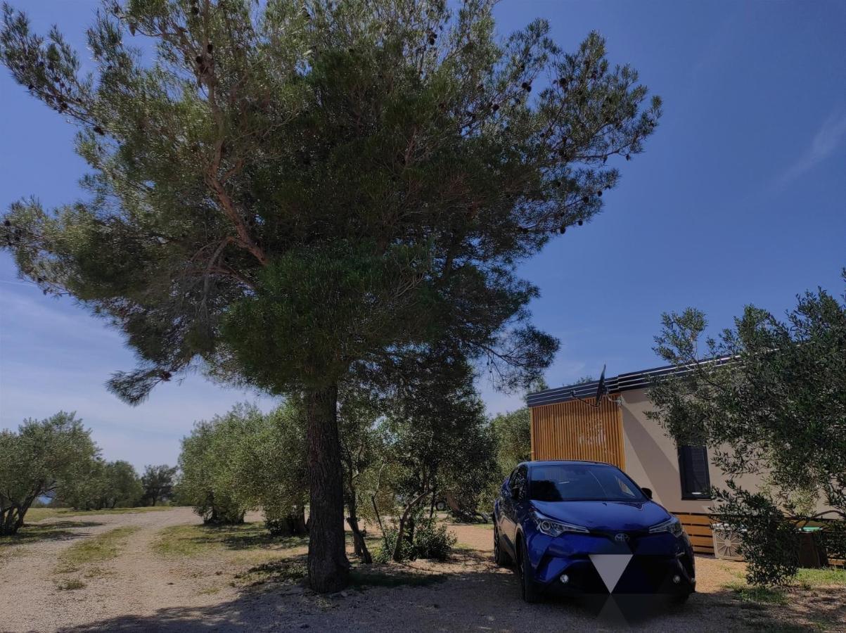 Zen Zone Premium Mobile Home دراغ المظهر الخارجي الصورة